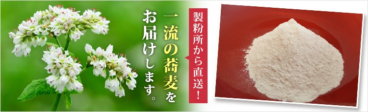 製粉所から毎日直送! 通販、どこよりも早く蕎麦粉、そば茶、そばの実、韃靼(だったん)そば茶をお届けします。
