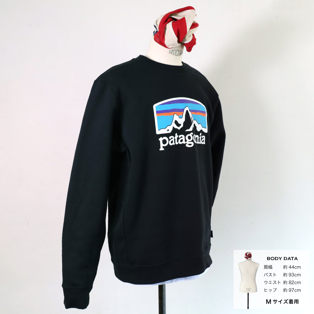 パタゴニア メンズ スウェット トレーナー P...の詳細画像1