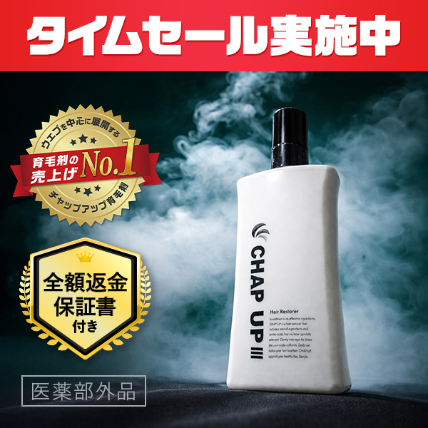 チャップアップ　育毛剤　chap up おまとめ購入特典付き チャップアップ（CHAP UP） 育毛剤 レフィル 詰め替え 付け替え 120mL