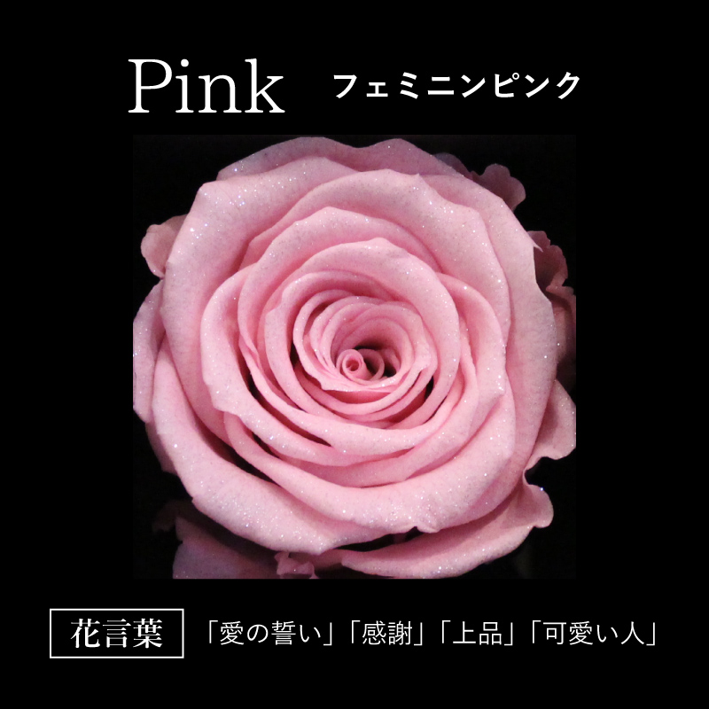 アモローサ プロポーズ バラ 枯れない 花 プレゼント ギフト