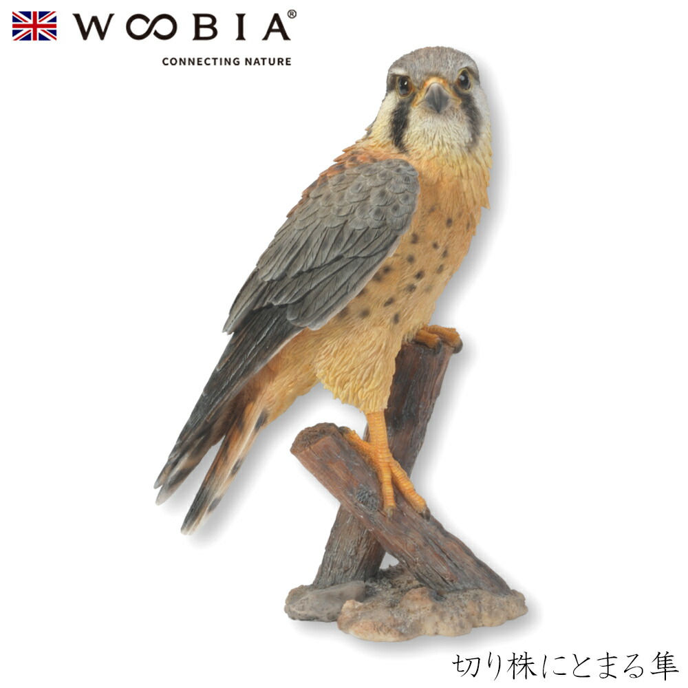 Woobia（ウービア）【切り株にとまる隼】 (幅20.5×奥行12.3×高さ