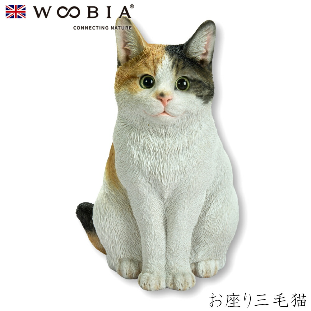 三毛猫、イラストボード22cm×30,5cm 三毛猫、イラストボード22cm×30,5cm 三毛猫、イラストボード22cm×