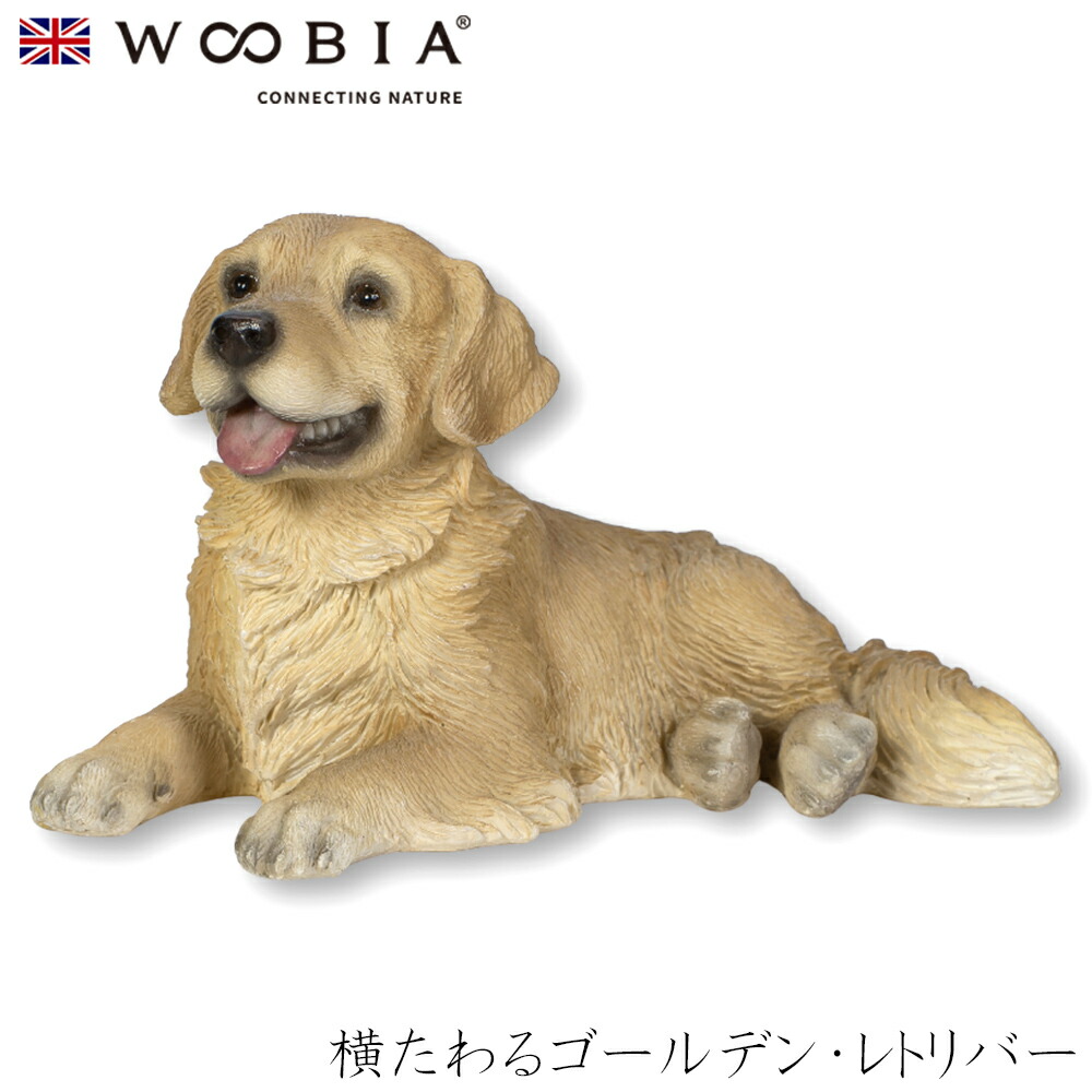 横たわるゴールデン・レトリバー