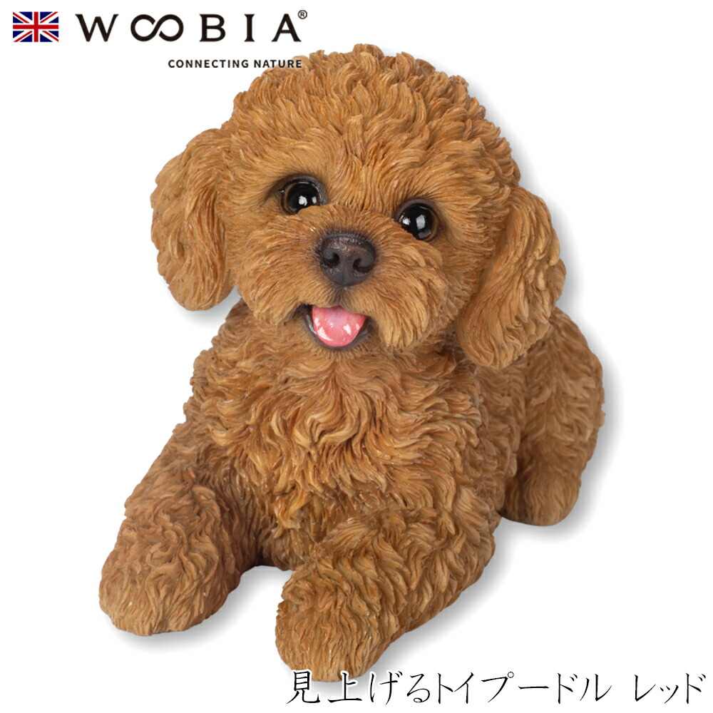 【世界にひとつ】一閑張り　赤　おめでたい　　カラフル　こま犬 楽天市場】犬のがま口カードケースL DOGS 西陣織 日本製 ミニ