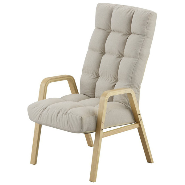 IRIS OHYAMA（アイリスオーヤマ） リクライニングチェア 一人用 6段階