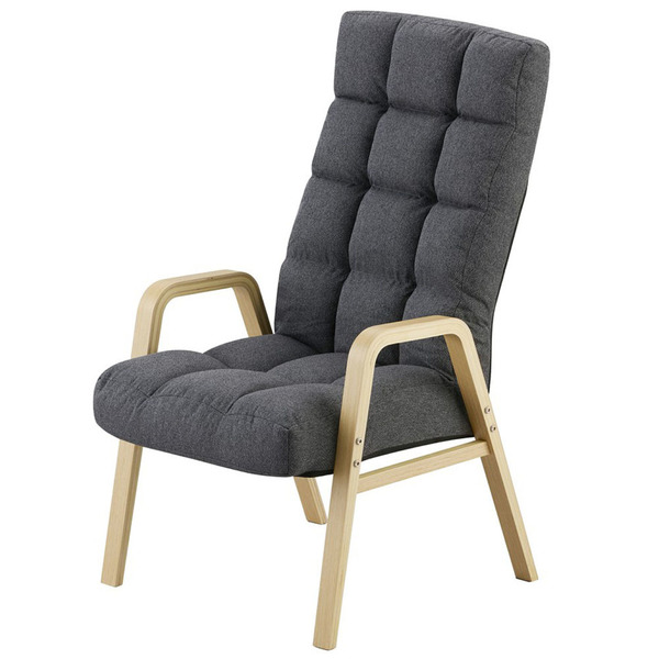 IRIS OHYAMA（アイリスオーヤマ） リクライニングチェア 一人用 6段階