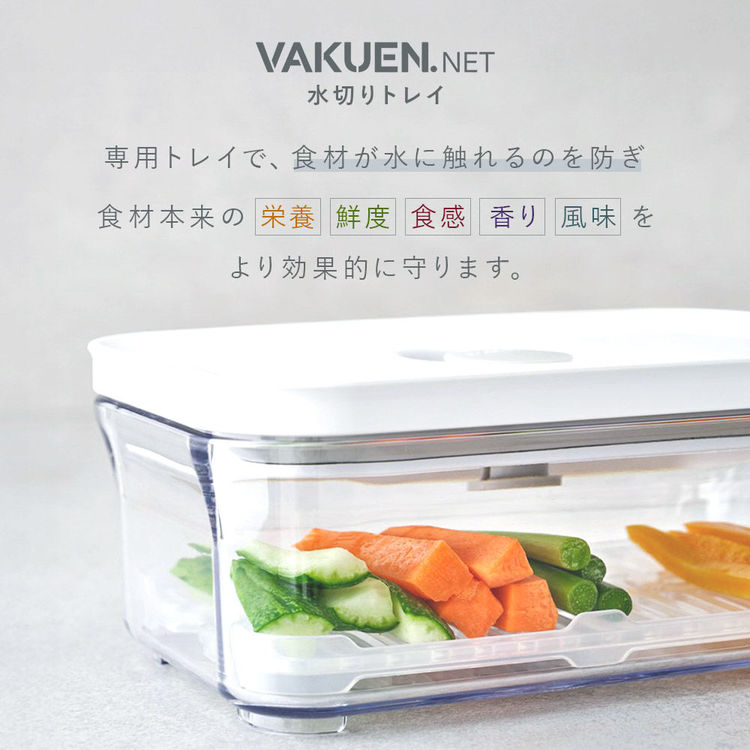 真空保存容器 BPAフリー 密閉 自動 電動真空 食洗機対応 冷凍庫対応
