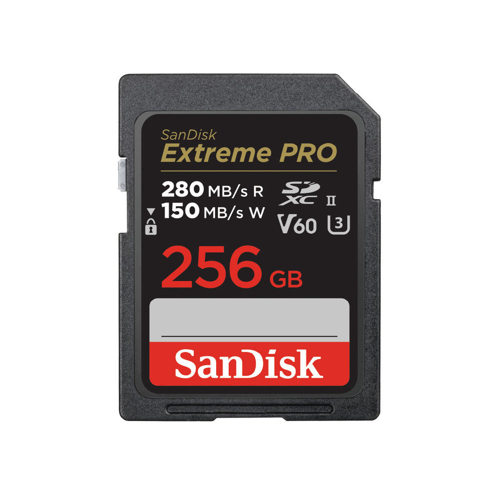 �yLYP�����z SanDisk Extreme PRO SDXC 256GB UHS II V60 SDSDXEP-256G-JNJIP �T���f�B�X�N �G�N�X�g���[���v��