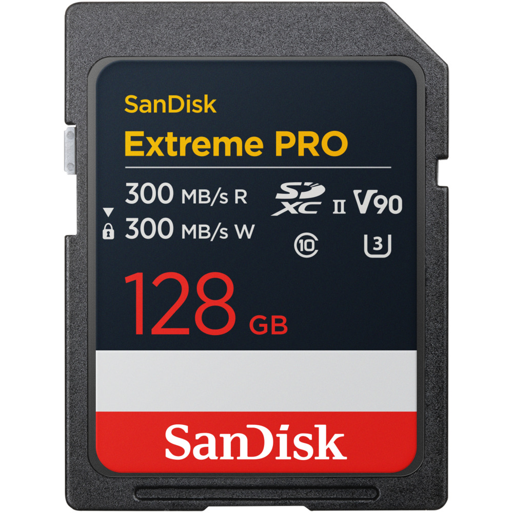 SDSDXDM-128G-JNJIP」の人気商品一覧・価格比較 - 価格.com