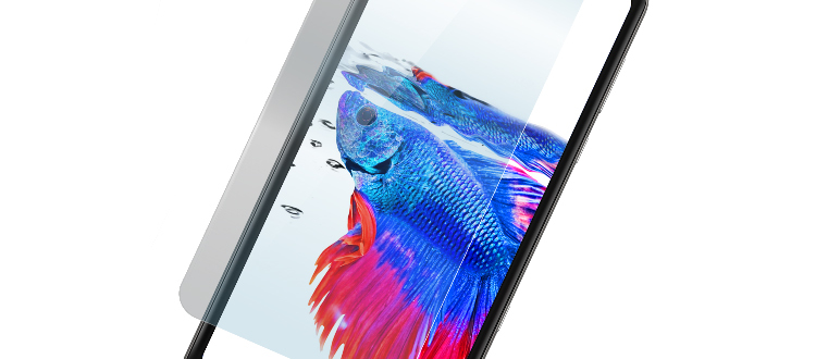 Xperia10V SoftBank 本体（ガラスフィルム付） SoftBank SELECTION 抗ウイルス 抗菌 極薄 保護ガラス for
