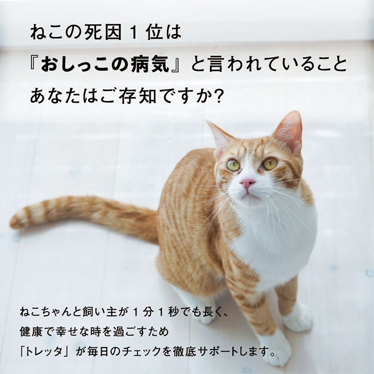 猫トイレ 猫用トイレ 大型 ペット Toletta トレッタ 猫砂 見守りカメラ