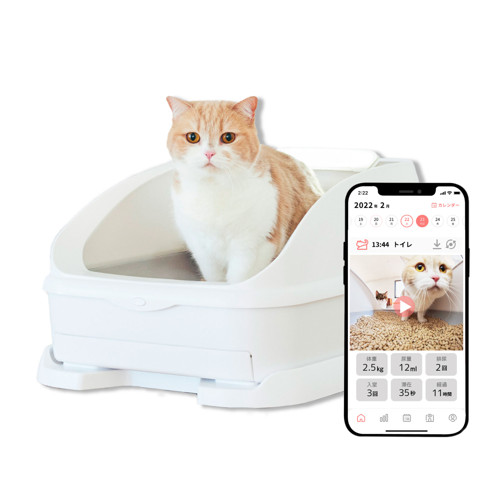 猫トイレ 猫用トイレ 大型 ペット Toletta トレッタ 猫砂 見守りカメラ 