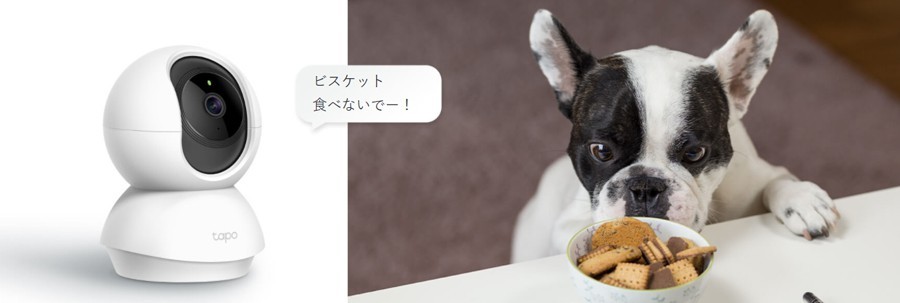 TP-Link ティーピーリンク Tapo C210 パンチルト ネットワークWi-Fi