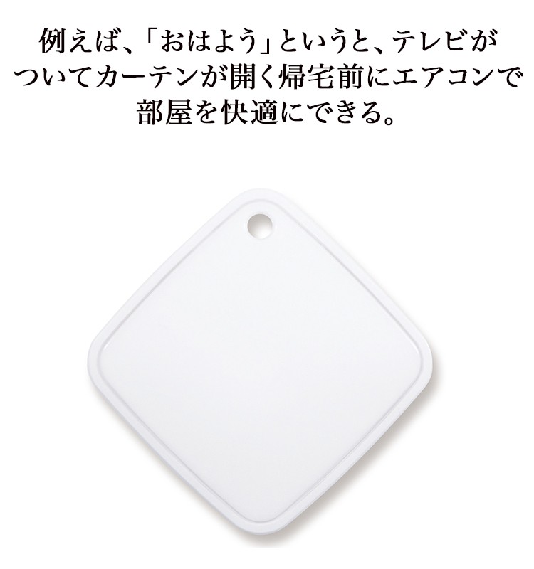 Google Home RATOC Systems スマート家電リモコン RS-WFIREX4 Amazon