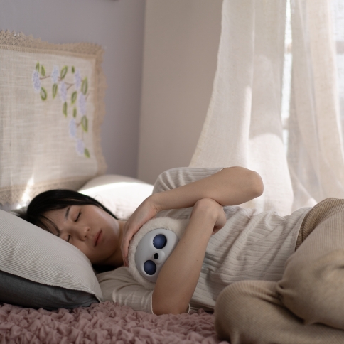 ☆ポイント10倍☆ lopeto AI robot ロボットペット MY-RTPT01 感情