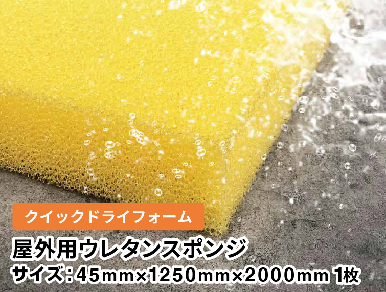 BGS10　運命の相手 マーシャ　ロシデレ　ヴァイスシュヴァルツ　ゴールドラベル BGS10 運命の相手 マーシャ ロシデレ ヴァイスシュヴァルツ