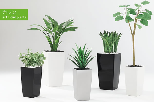 カレン 人工樹木・観葉植物