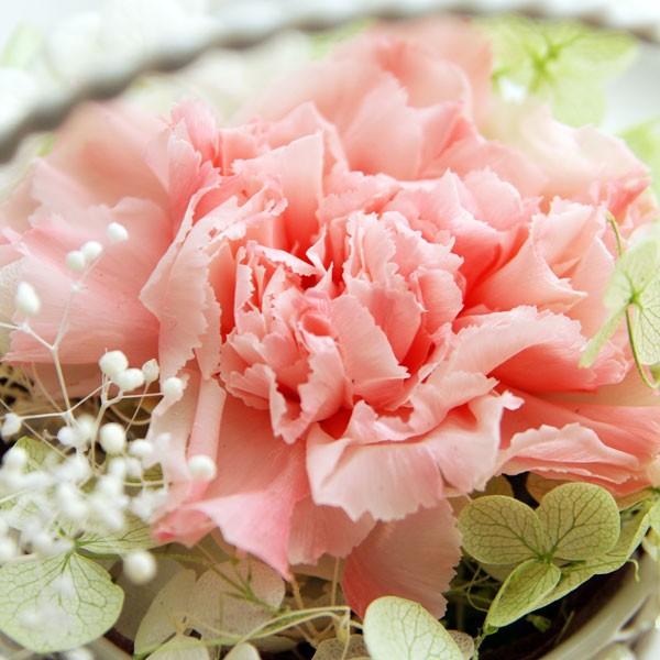 誕生日 プリザーブドフラワー プレゼント くま セレナ テディベア 結婚祝い 花 枯れない花 電報 お祝い Sale 76 Off 結婚式 祝電 21 誕生日 プリザーブドフラワー プレゼント くま セレナ テディベア 結婚祝い 花 枯れない花 電報 お祝い Sale 76 Off 結婚式 祝電 21