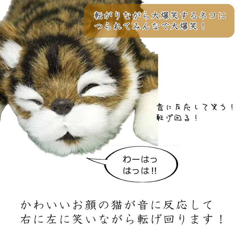 bs-cats-b-2.jpg