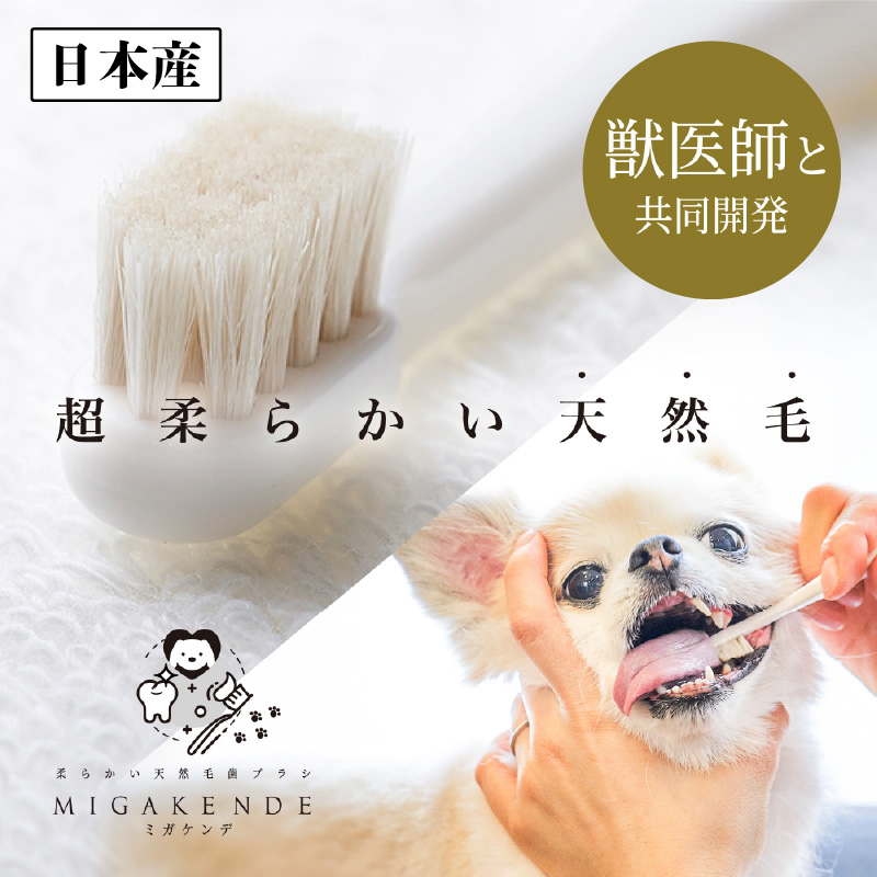 2個セット ミガケンデ  柔らかい天然毛歯ブラシ 小型犬用 柔らかいヤギ植毛 1本 超柔らか MIGAKENDE