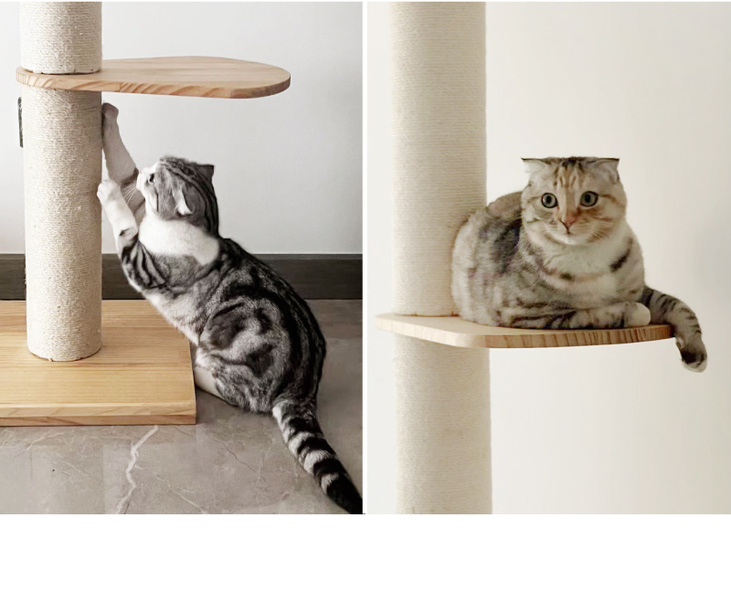 キャットタワー4