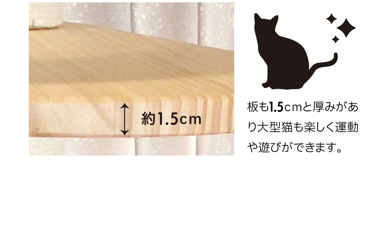 キャットタワー9