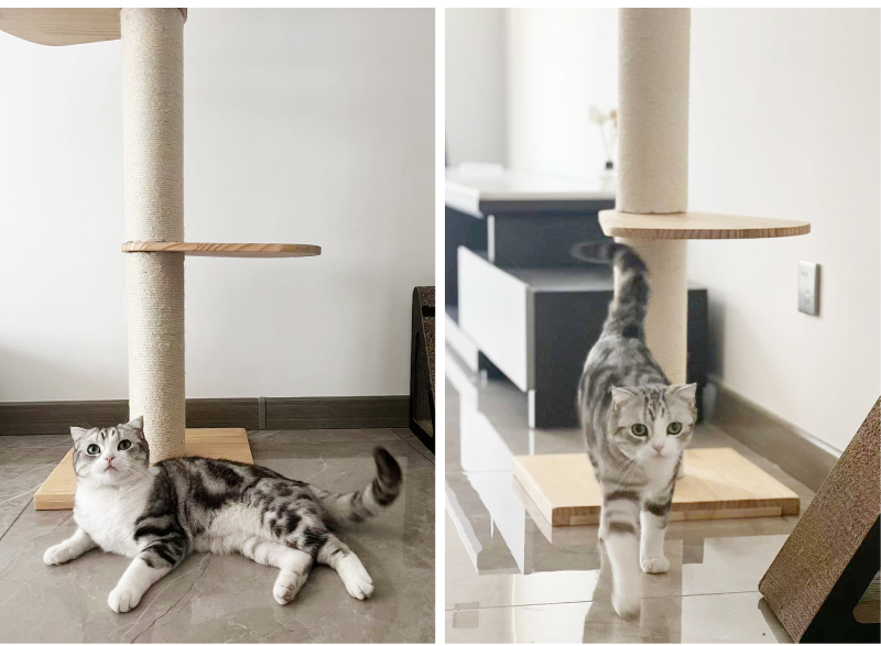 キャットタワー12