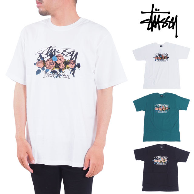 STUSSY ステューシー Tシャツ カットソー 半袖 ホワイト ブラック