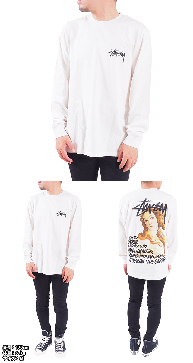 STUSSY ステューシー ロンTee 長袖Tシャツ カットソー S M L LL XLサイズ 男性 メンズ 女性 レディース トップス 大きいサイズ  USAモデル SPRING WEEDS PIG.DYED