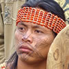 アマゾン原住民のジャグア装飾