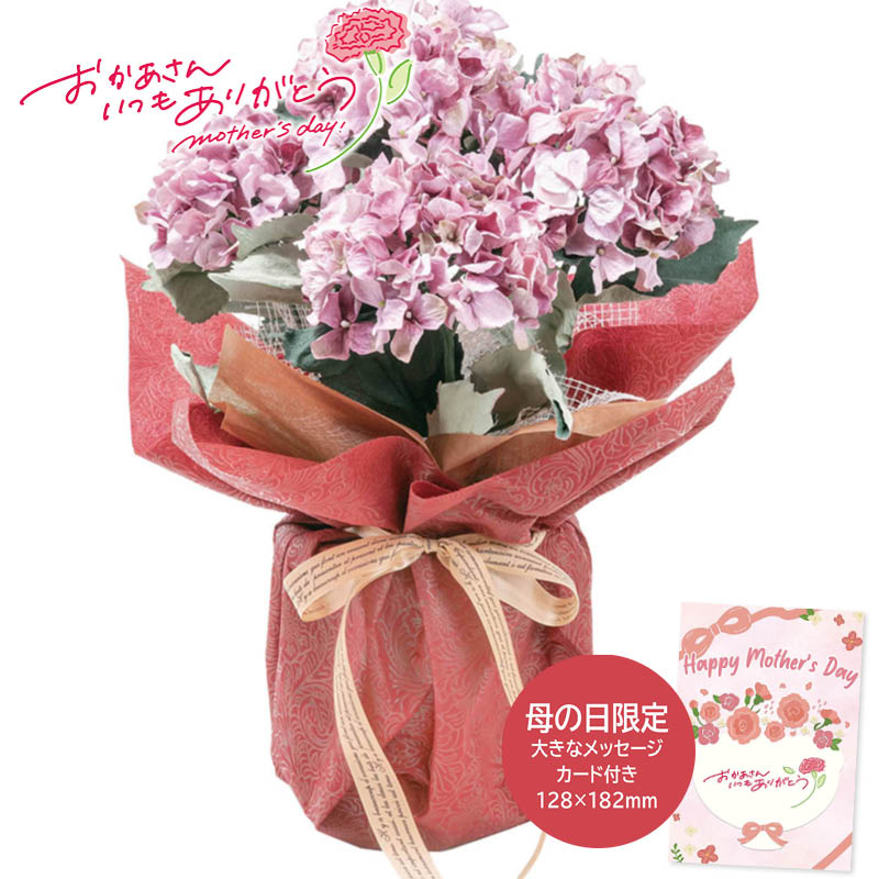 母の日 プレゼント 2026  母の日 アーティフィシャルフラワー紫陽花5本立ち パープル 母の日ギフト 母の日 プリザーブドフラワー 花 (#1852-240)