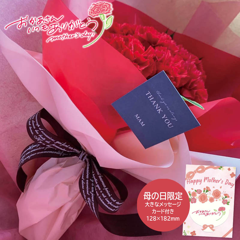 母の日 プレゼント 2026  母の日 生花カーネーションブーケ レッド  母の日ギフト 母の日 プリザーブドフラワー 花 (#1852-327)