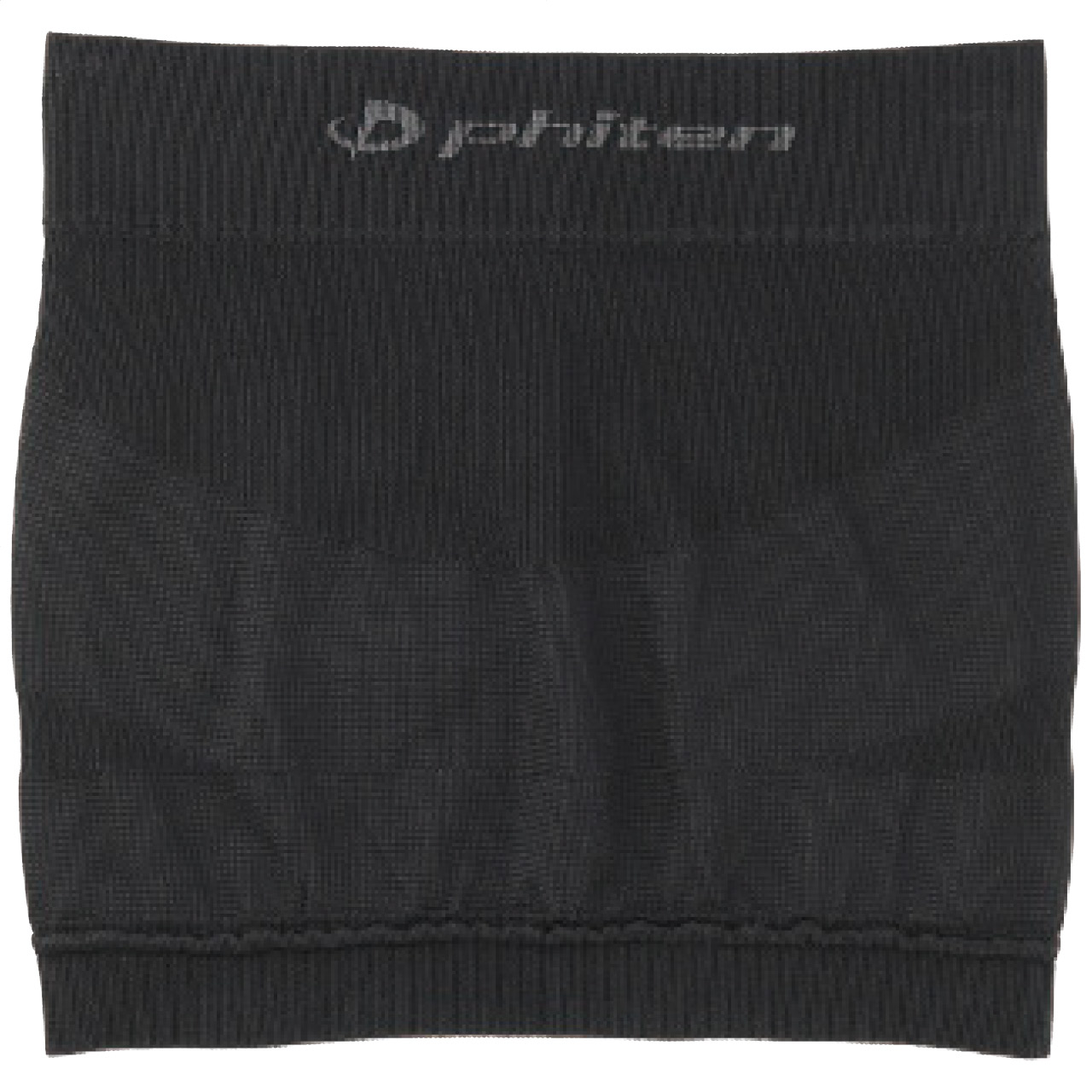 ファイテン 磁気チタン 腰サポーター 美容 健康 (#1018-040)