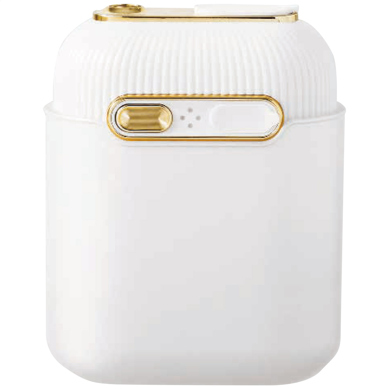 プリンク オーラルフロッサーミニCUBE 美容 健康 (#1161-029)