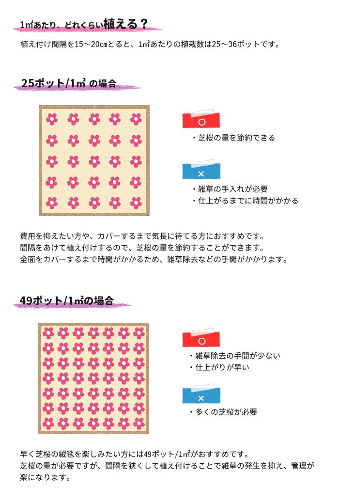 芝桜の植栽数