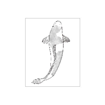 オスコラボ Oscolabo 生物図鑑はんこ 南天 Sz002 鯉 Sz003 オオルリ Sz004 スタンプ 手帳 カード かわいい Zk Osco Seibutsu Gute Gouter 通販 Yahoo ショッピング