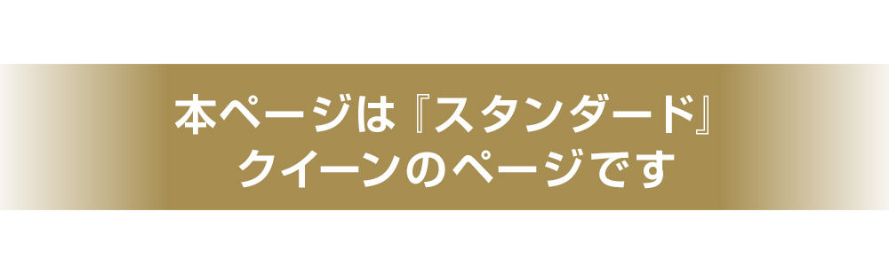 ハイパーフィット掛け布団 スタンダード クイーン