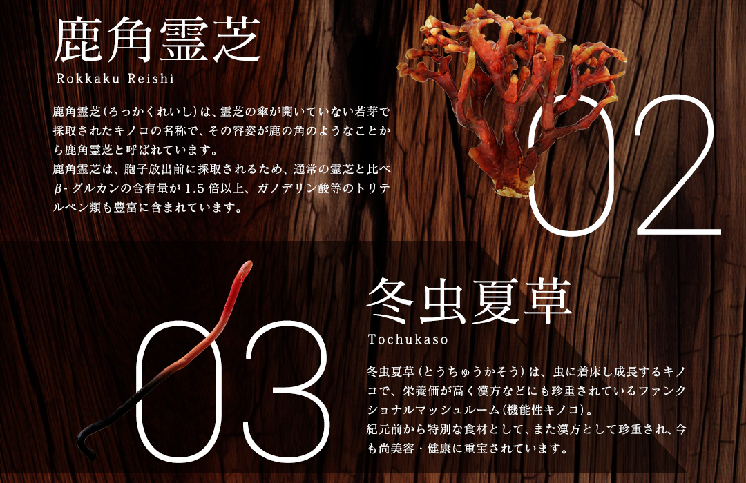 【特選粉末】13種のキノコミックスパウダー 30g