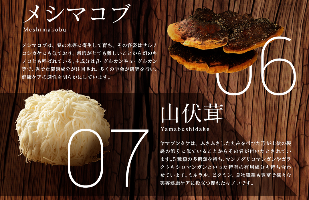 【特選粉末】13種のキノコミックスパウダー 30g