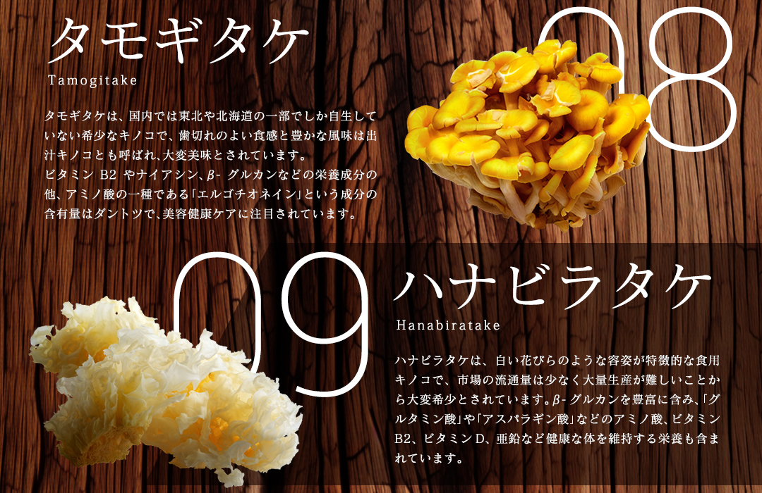 【特選粉末】13種のキノコミックスパウダー 30g