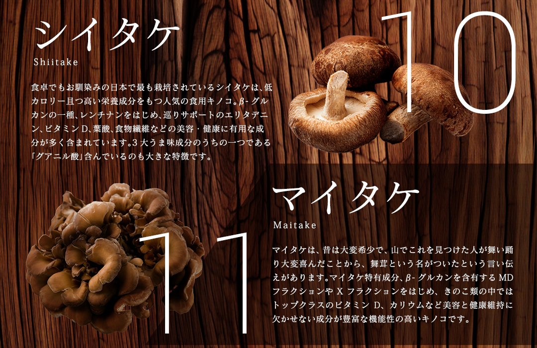 【特選粉末】13種のキノコミックスパウダー 30g