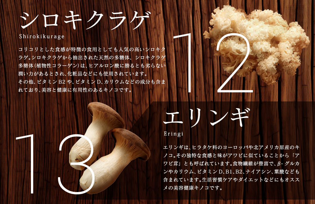 【特選粉末】13種のキノコミックスパウダー 30g