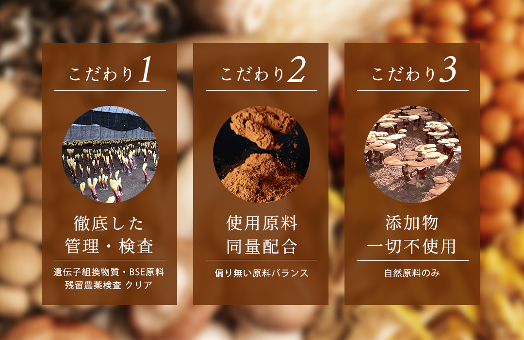【特選粉末】13種のキノコミックスパウダー 30g