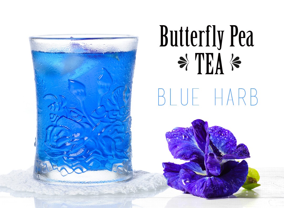 「青いお茶」美を育む青いハーブティー「バタフライピー（蝶豆、チョウマメ）-Butterfly Pea TEA BLUE HARB-」