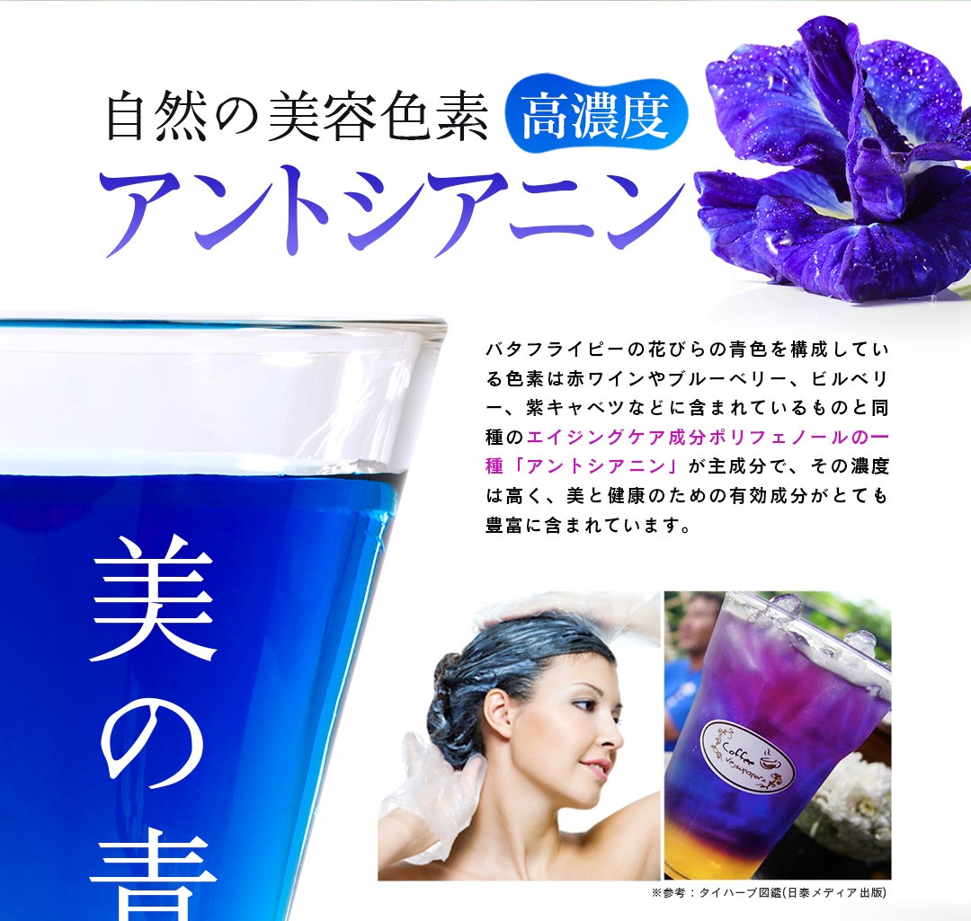 自然の美容色素 高濃度 アントシアニン。バタフライピーの花びらの青色を構成している色素は赤ワインやブルーベリー、ビルベリー、紫キャベツなどに含まれているものと同種のエイジングケア成分ポリフェノールの一種「アントシアニン」が主成分で、その濃度は高く、美と健康のための有効成分がとても豊富に含まれています。