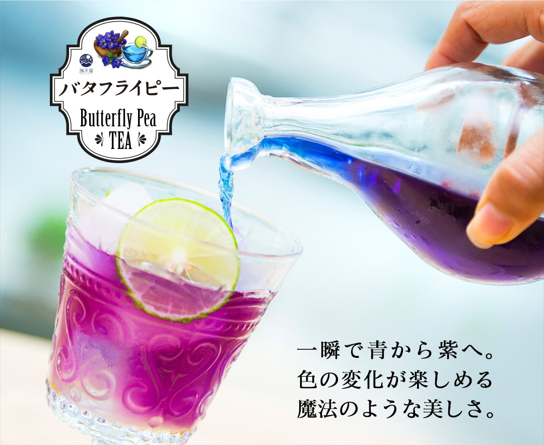 「Butterfly Pea TEA」一瞬で青から紫へ。色の変化が楽しめる魔法のような美しさ。
