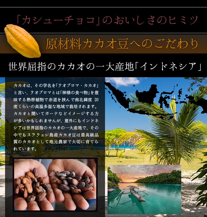 生カシューチョコ・スイーツ・高級・チョコレート