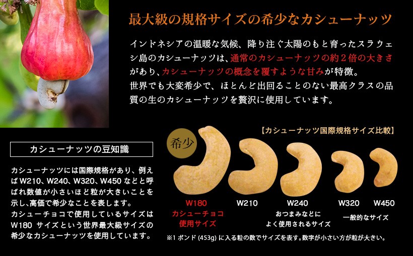 生カシューチョコ・スイーツ・高級・チョコレート