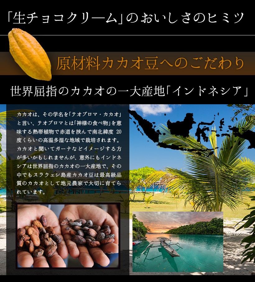 生チョコクリーム・スイーツ・高級・チョコレート