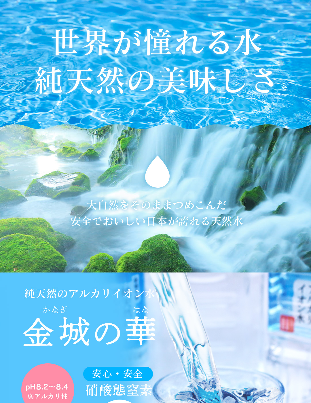 金城の華
